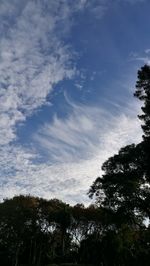 Low angle view of silhouette trees against sky