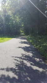 Road amidst trees in forest