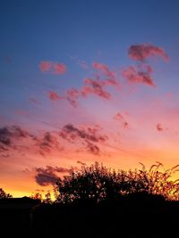 Low angle view of silhouette trees against sky during sunset