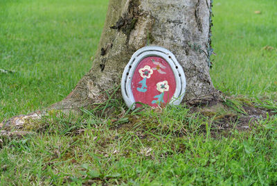 Close-up of sign on tree trunk