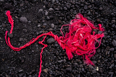 High angle view of rope tied on rock