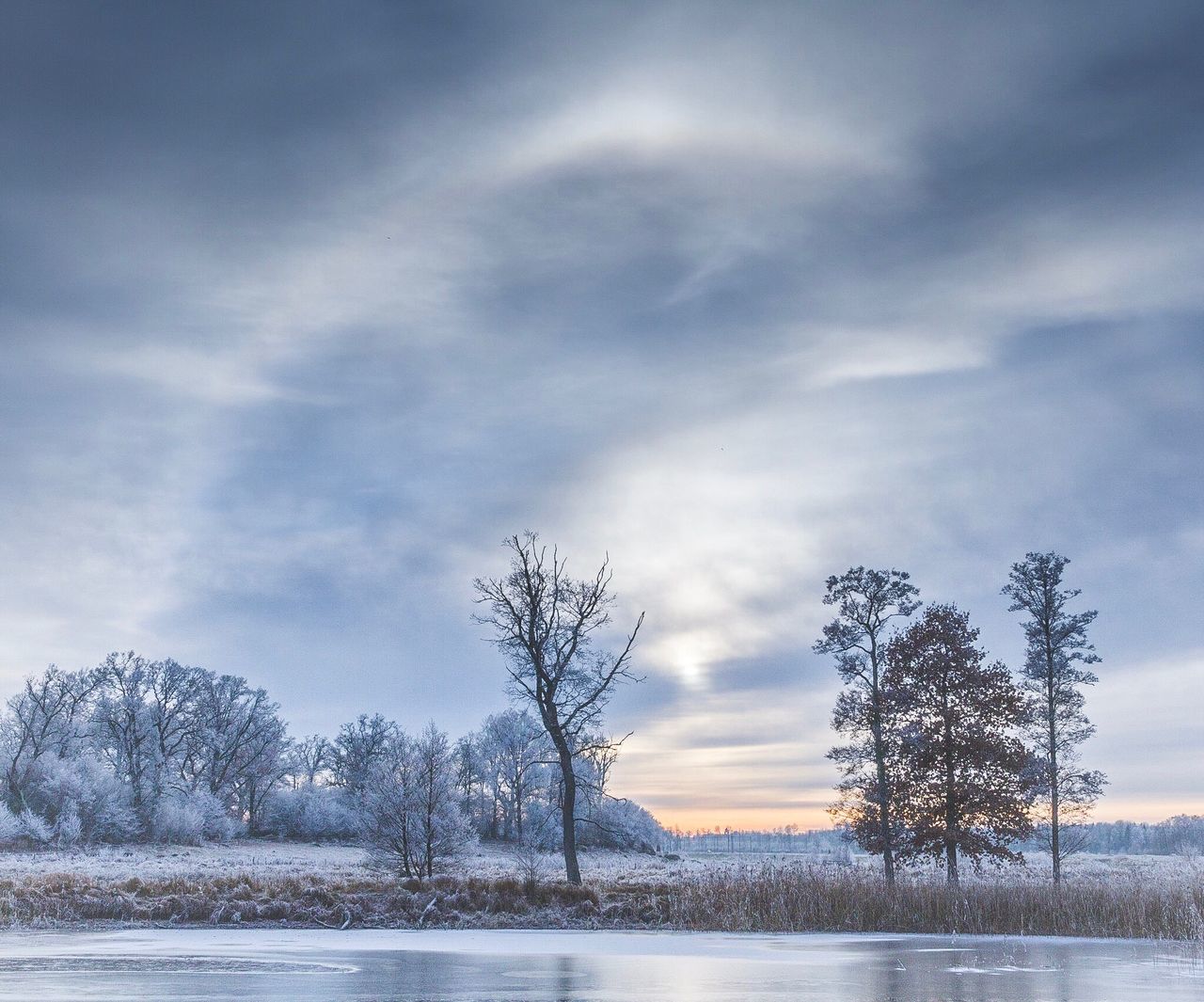 tree, sky, cloud - sky, nature, no people, outdoors, tranquility, water, beauty in nature, day