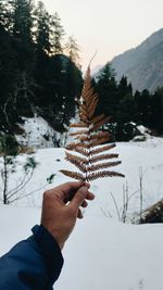 Cropped hand of person holding snow