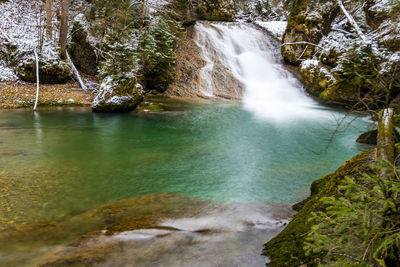 Scenic view of waterfall in forest