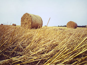 Hay bales on field against clear sky