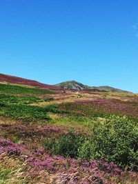 View of landscape against blue sky