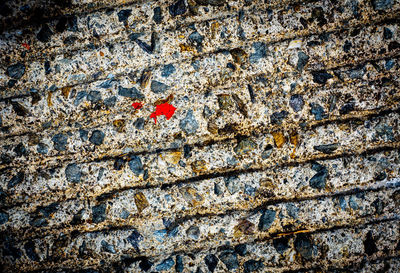 Low angle view of rocks on wall