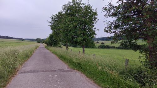 Empty road amidst field against sky