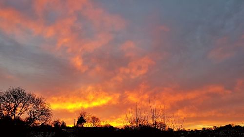 Silhouette of trees against dramatic sky