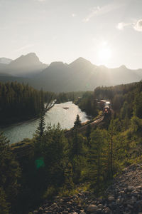 Scenic view of train through forest