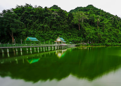 Scenic view of lake against trees