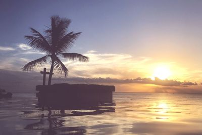 Silhouette palm tree by sea against sky during sunset