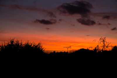Silhouette trees against sky during sunset
