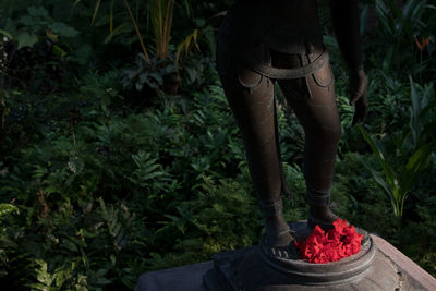 Low section of person standing by flower pot