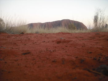 Scenic view of landscape