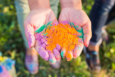 Close-up of person holding multi colored leaf