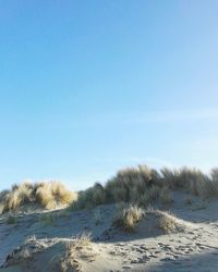 Scenic view of beach against clear blue sky