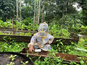 Rear view of woman standing amidst plants