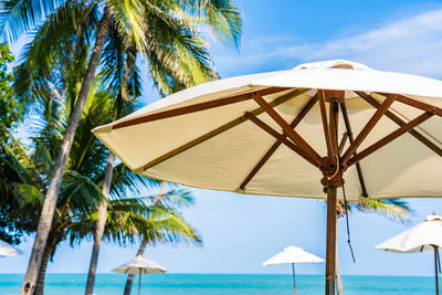 Palm trees on beach against sky
