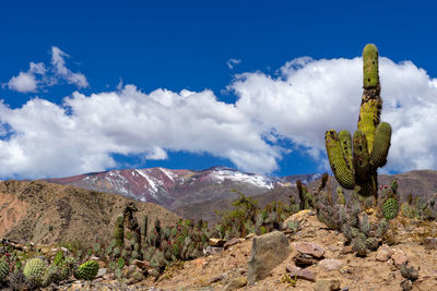 Scenic view of dramatic landscape against sky