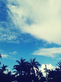 Low angle view of palm trees against sky