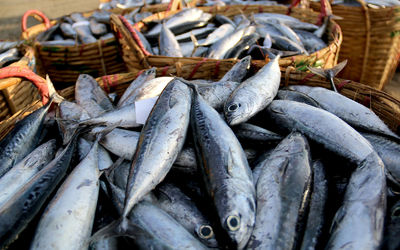 Full frame shot of fish for sale in market