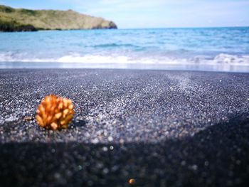 Surface level of sea shore against sky