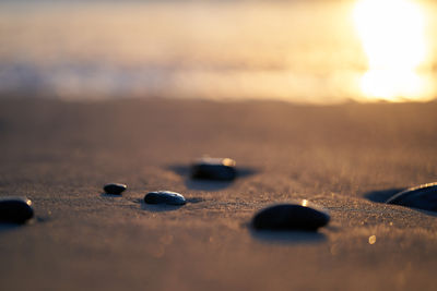 Close-up of pebbles