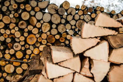 Stack of logs