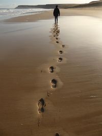 Rear view of woman walking on wet beach
