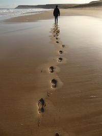 Rear view of person walking at beach