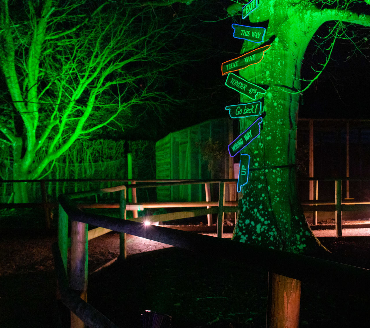 ILLUMINATED BRIDGE IN PARK