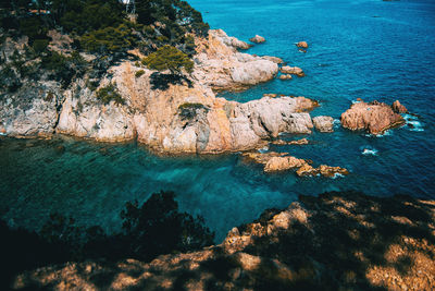 Seascape with views of a small rocky cove surrounded by a grove on a sunny day