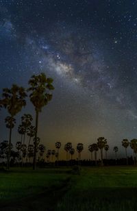 Scenic view of trees against star field at night