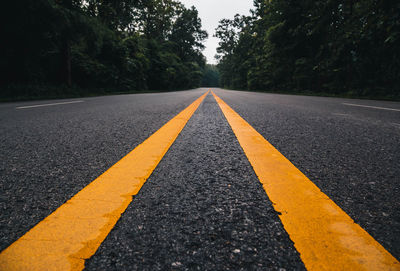 Surface level of road by trees