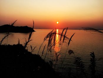 Silhouette plants by sea against romantic sky at sunset