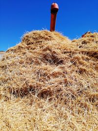 Low angle view of hay bales on field against clear blue sky
