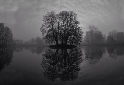 Reflection of trees in calm lake