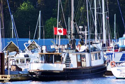 Boats moored at harbor