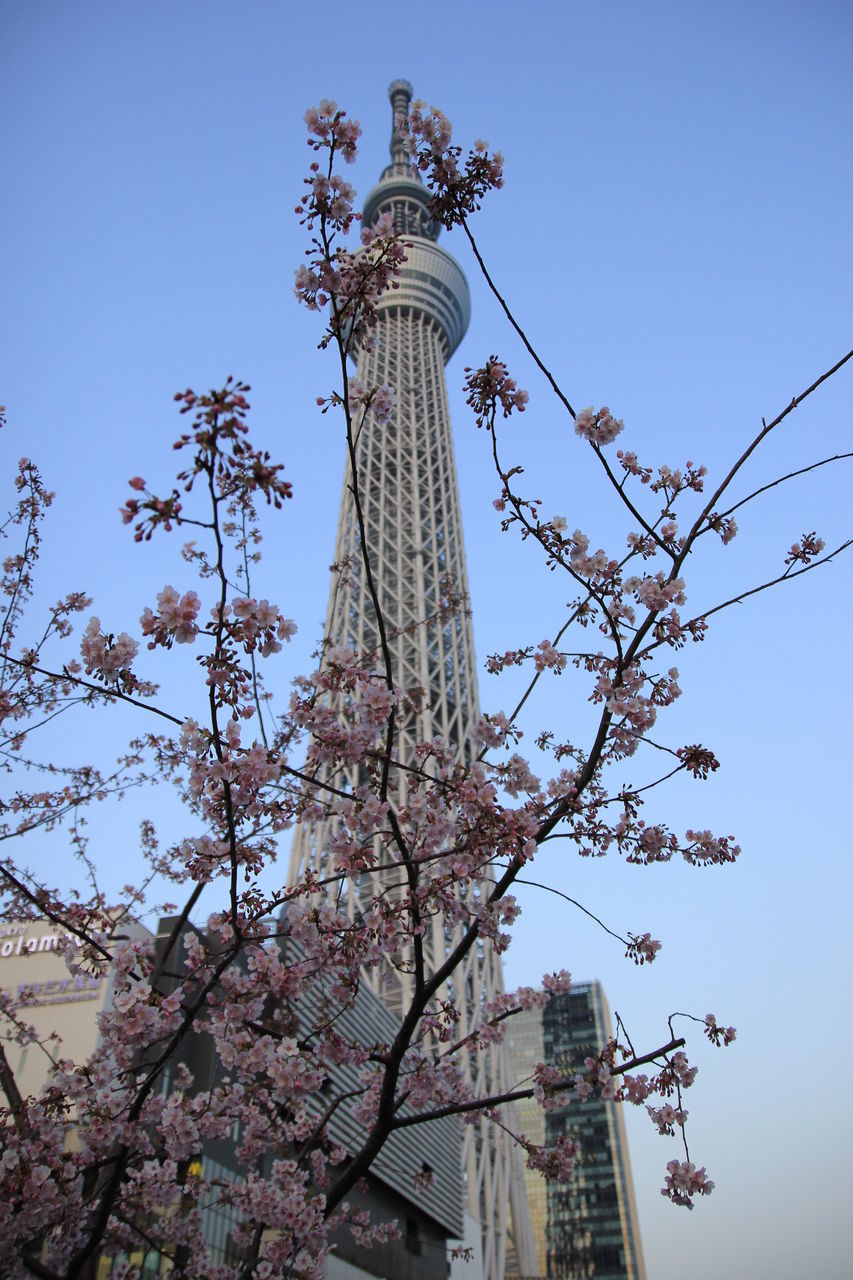 LOW ANGLE VIEW OF STATUE ON TREE