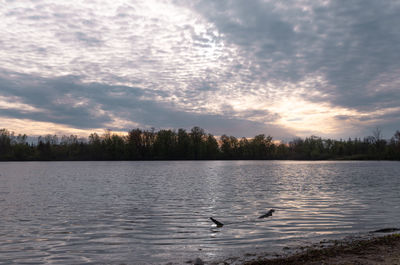 Scenic view of lake against sky during sunset