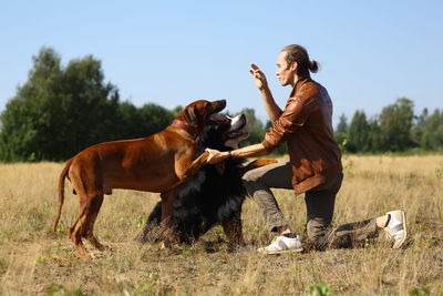 Man playing with dogs while standing on grassy land against sky