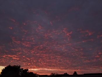 Low angle view of silhouette trees against orange sky
