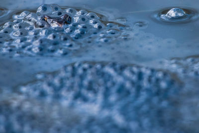 Close-up of bubbles in water