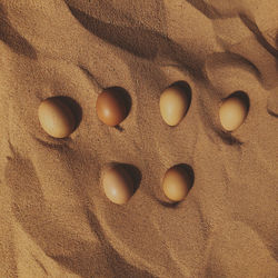 High angle view of eggs on sand