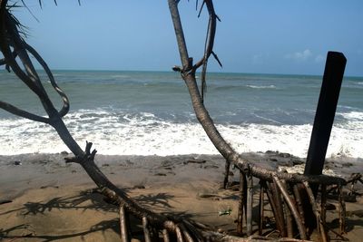 Scenic view of beach against sky