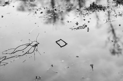 High angle view of reflection in puddle on lake