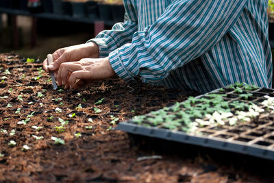 Midsection of farmer planting seeds in soil