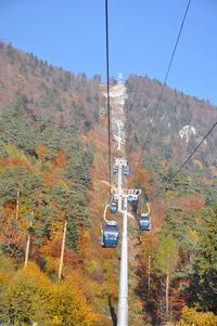 View of trees and mountain range