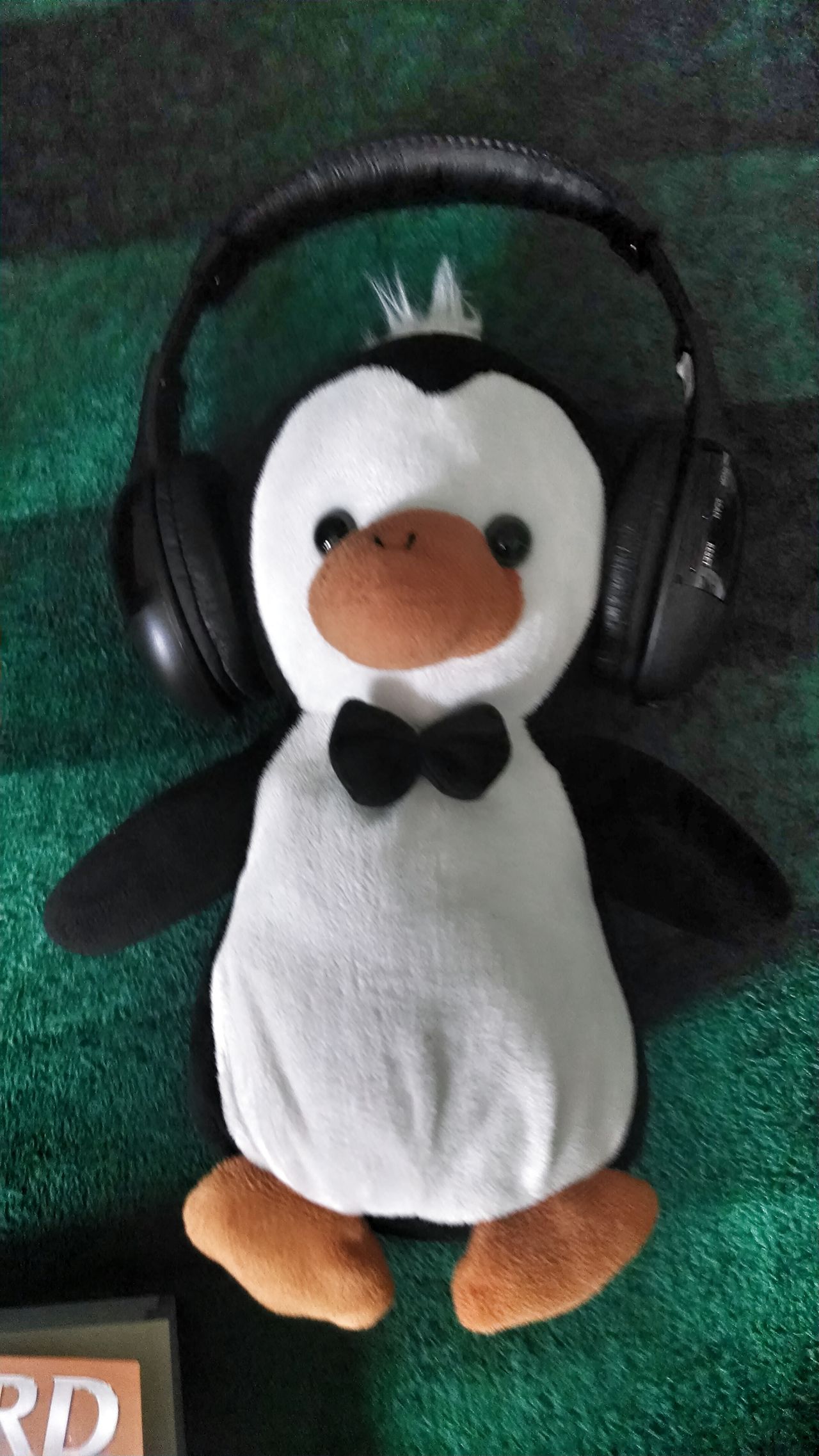 Penguintime